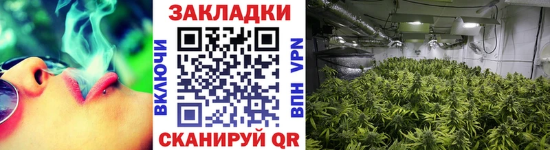 Где можно купить наркотики Дюртюли гидра вход  Канабис  Псилоцибиновые грибы  БУТИРАТ  КОКАИН  Alpha-PVP  АМФЕТАМИН 