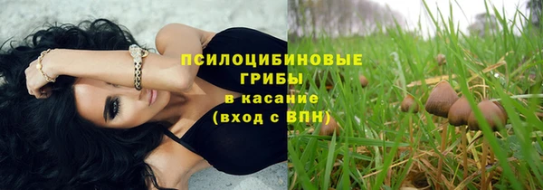 тгк Магадан