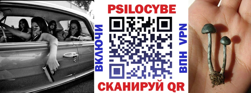 Псилоцибиновые грибы Psilocybine cubensis  OMG ССЫЛКА  Дюртюли 