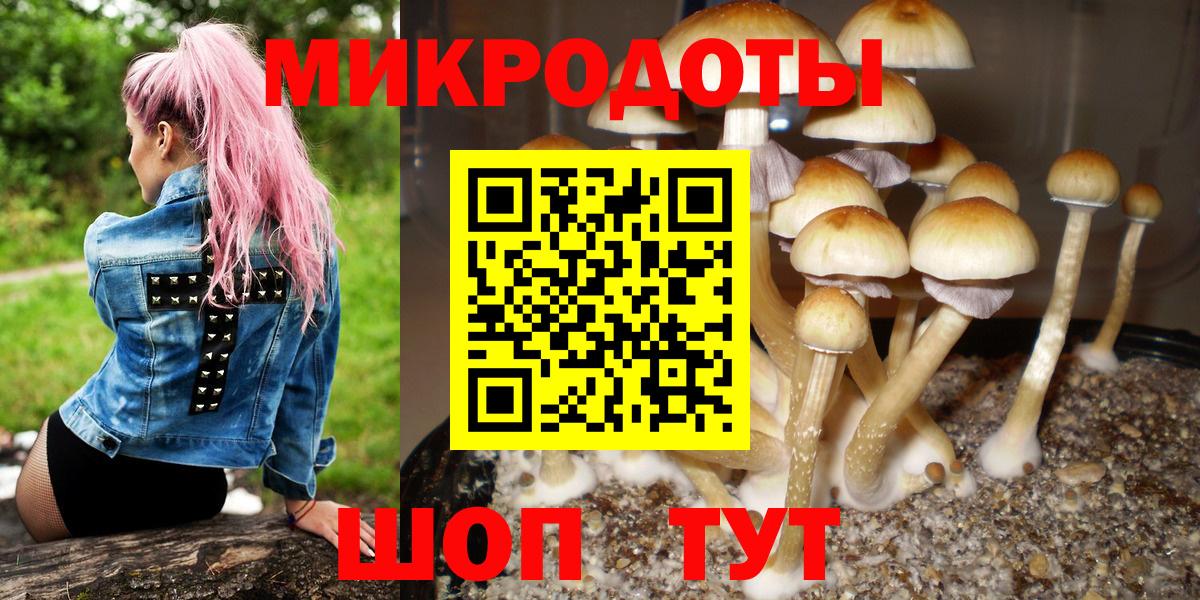 Псилоцибиновые грибы Psilocybe  Вход с VPN  Дюртюли 