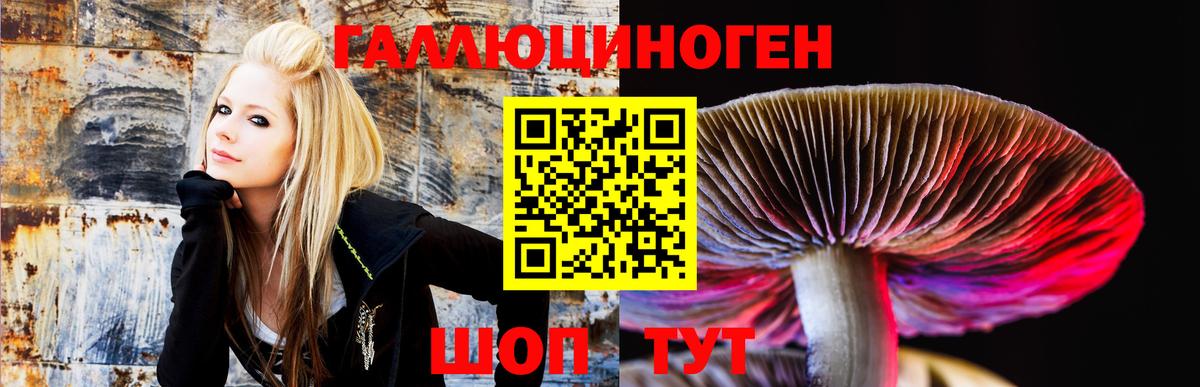 Галлюциногенные грибы прущие грибы Дюртюли